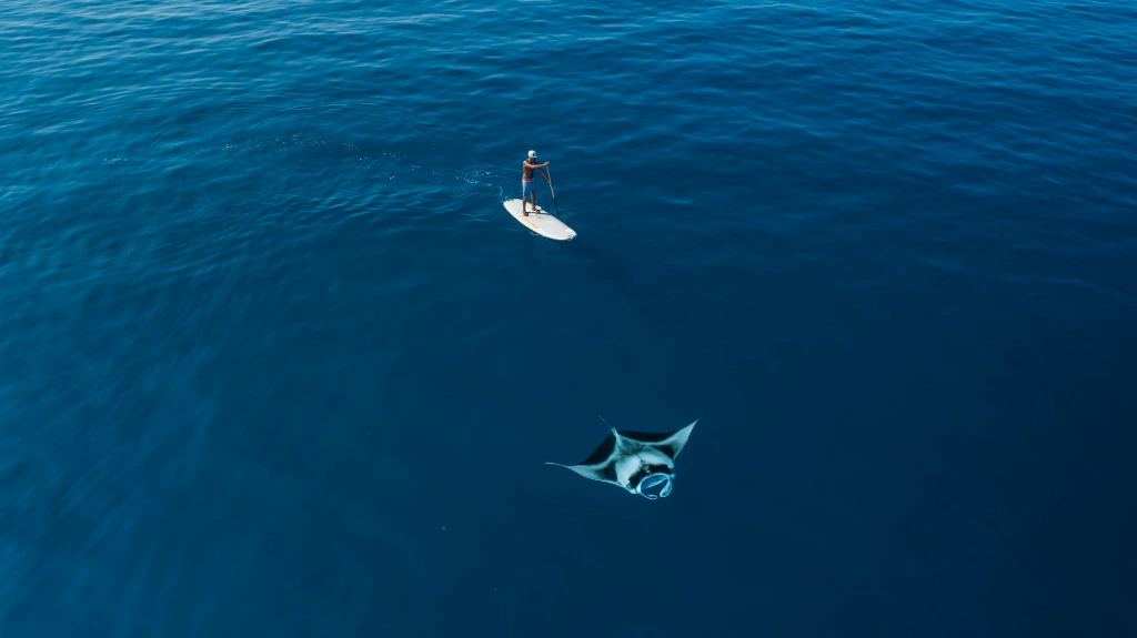 a man standing on a surfboard in the middle of the ocean